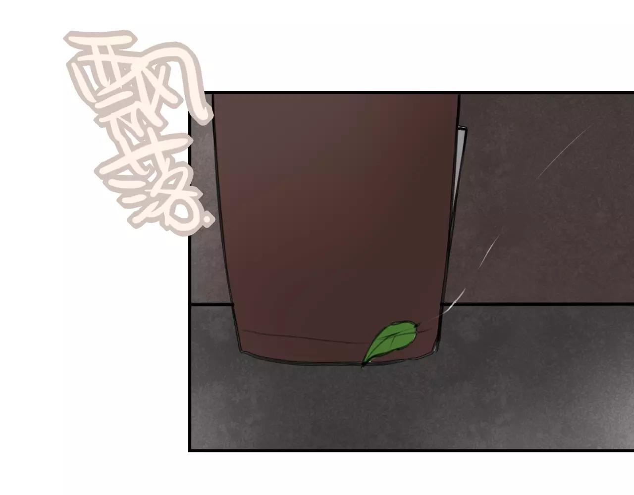 完结篇 最终话(1/2)-第31话