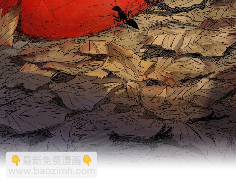 42  晨曦 (上)(1/2)-第43话