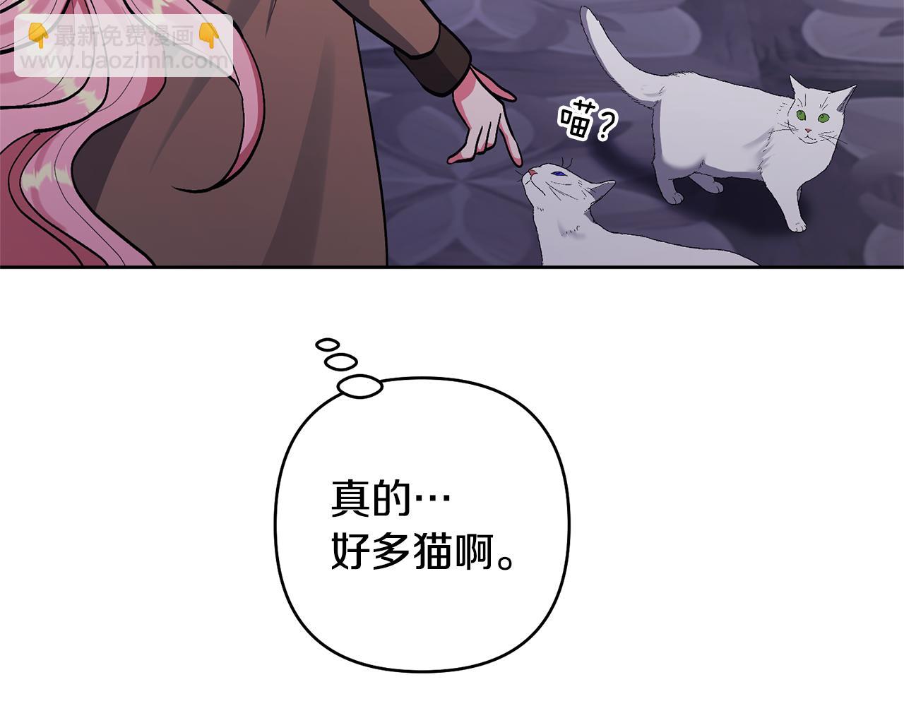 領養男主後把他寵大 - 第19話 這是貓宅嗎？(4/4) - 4