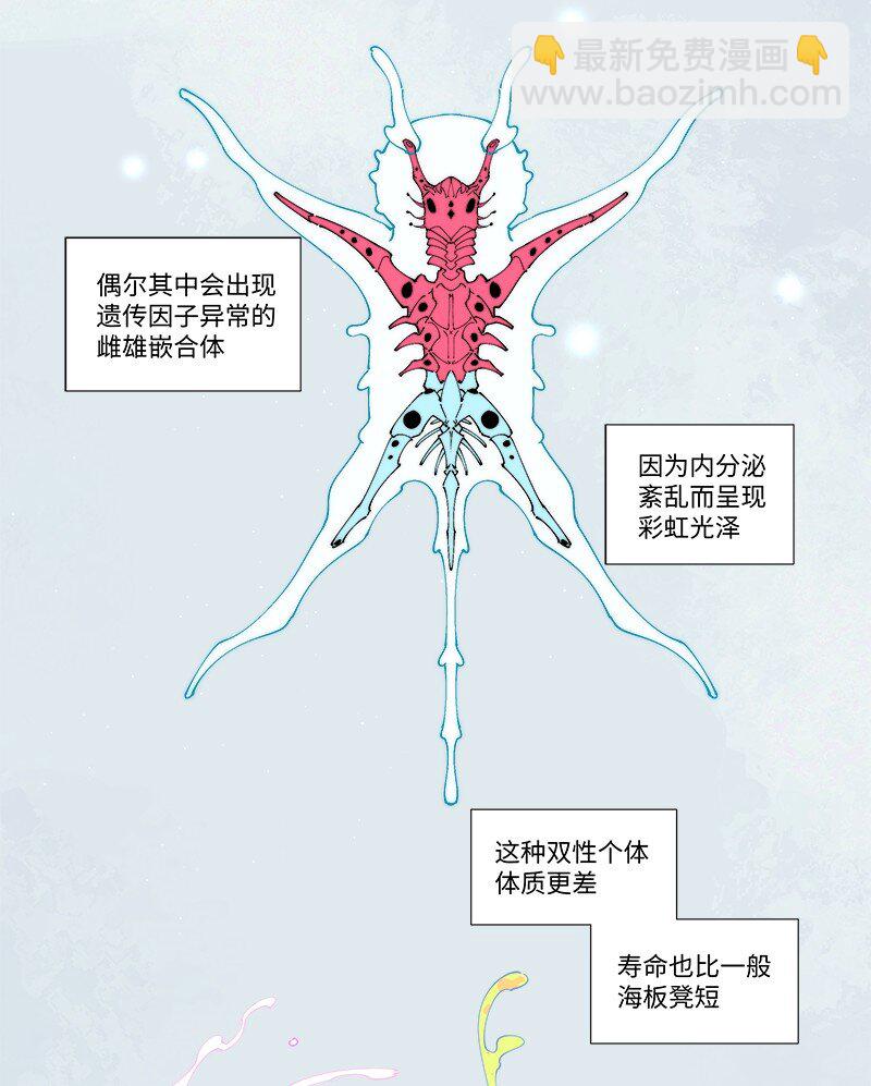 【第29谈】 方是真的，药是假的。-第31话