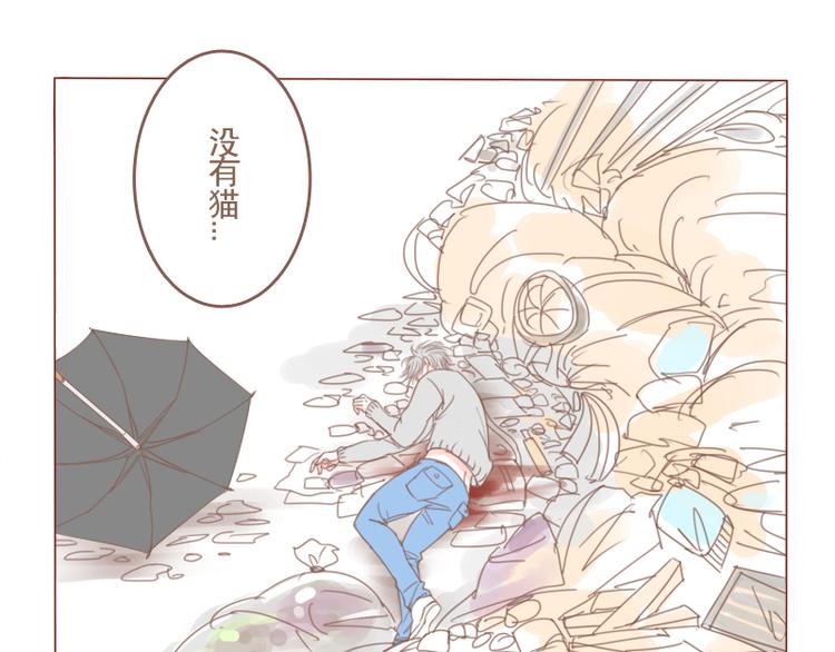 第23话 对不起，没有猫-第25话