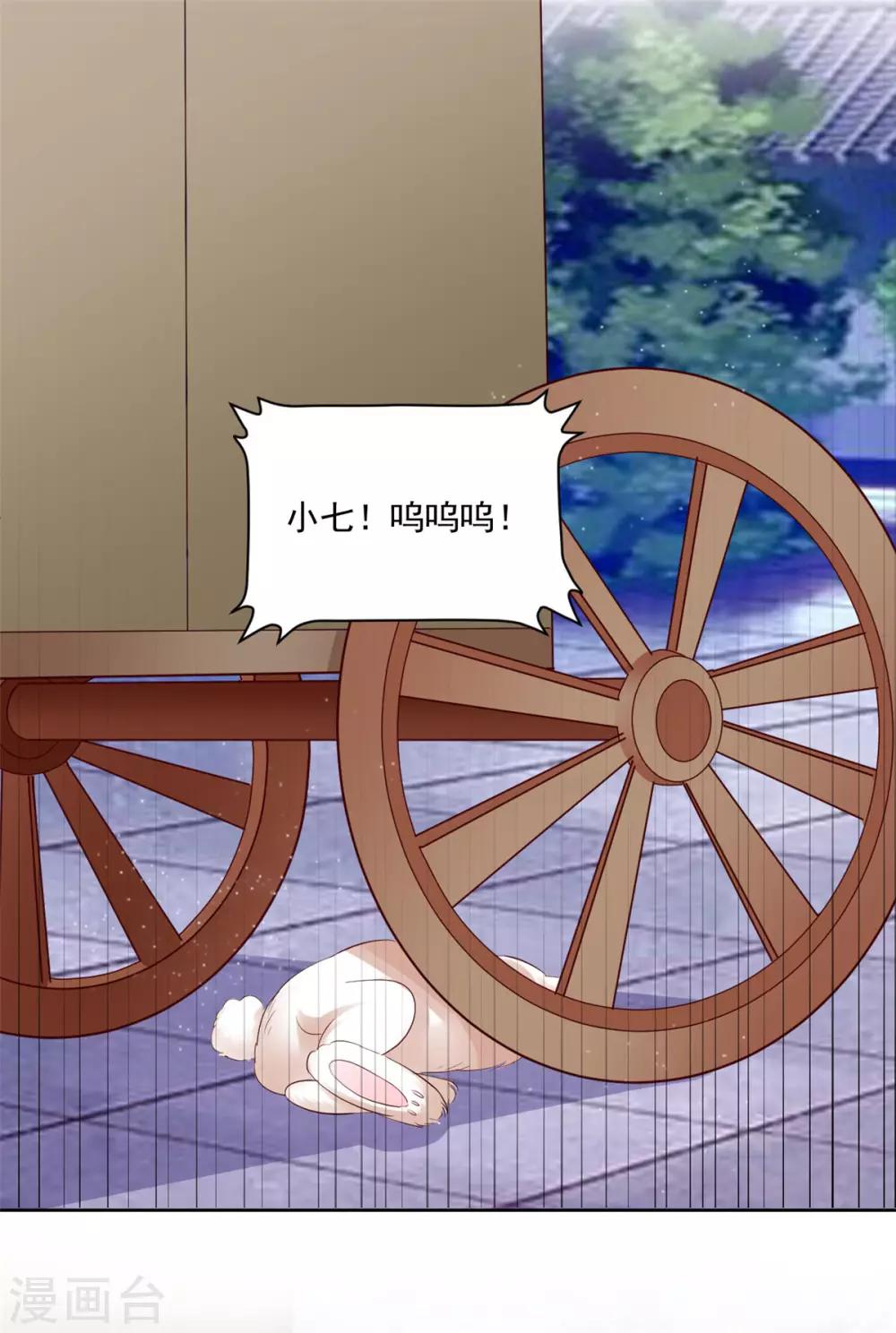 第105话 我的小七死了！-第105话