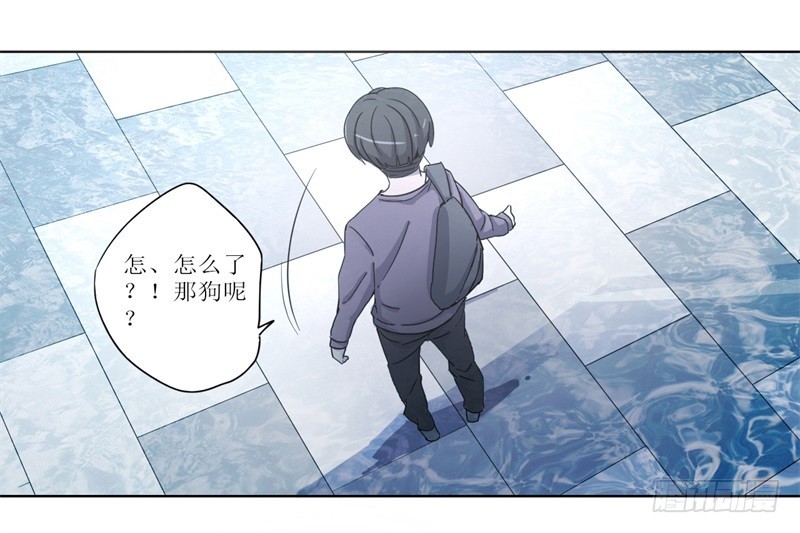 静止坐标01-第11话