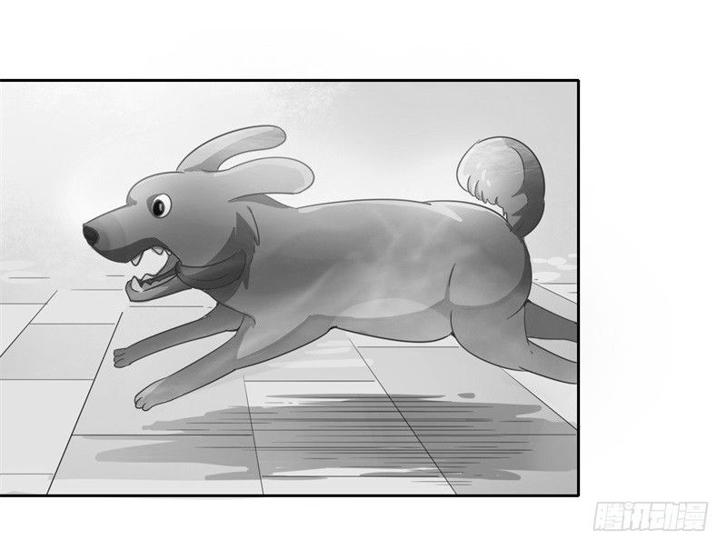 静止坐标01-第11话