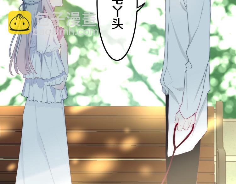 第41话 告白之冷猫(1/4)-第115话