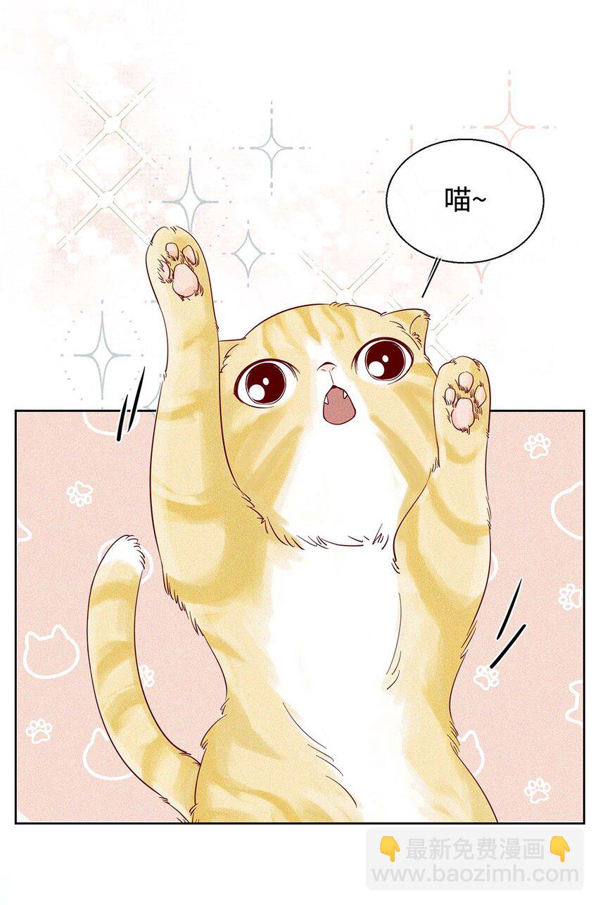 14 好养活的小动物-第15话