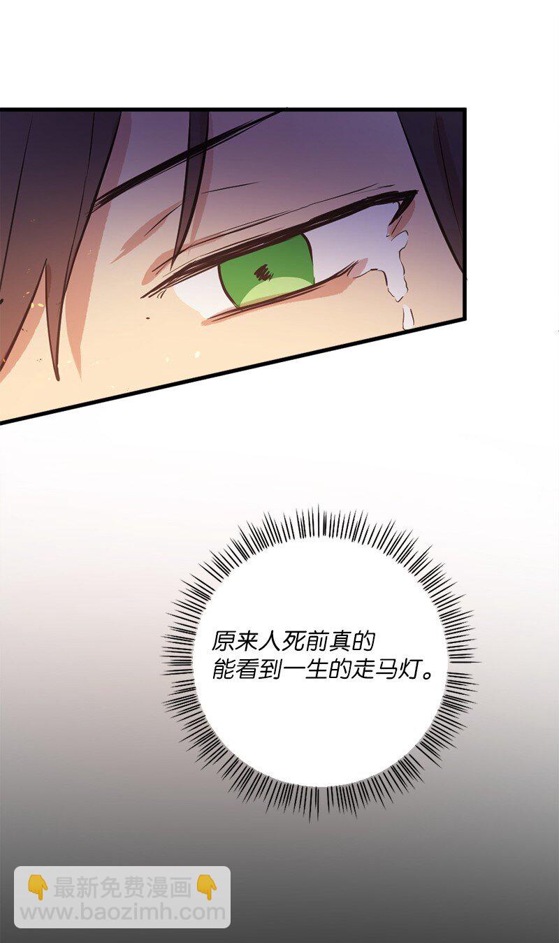 16 维克多走马灯(1/2)-第17话