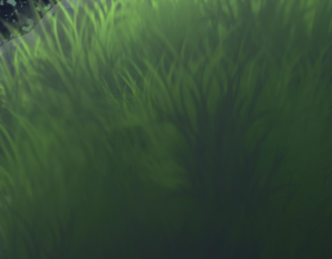 龍王子的女僕新娘 - 第1話 他是誰？(3/3) - 5