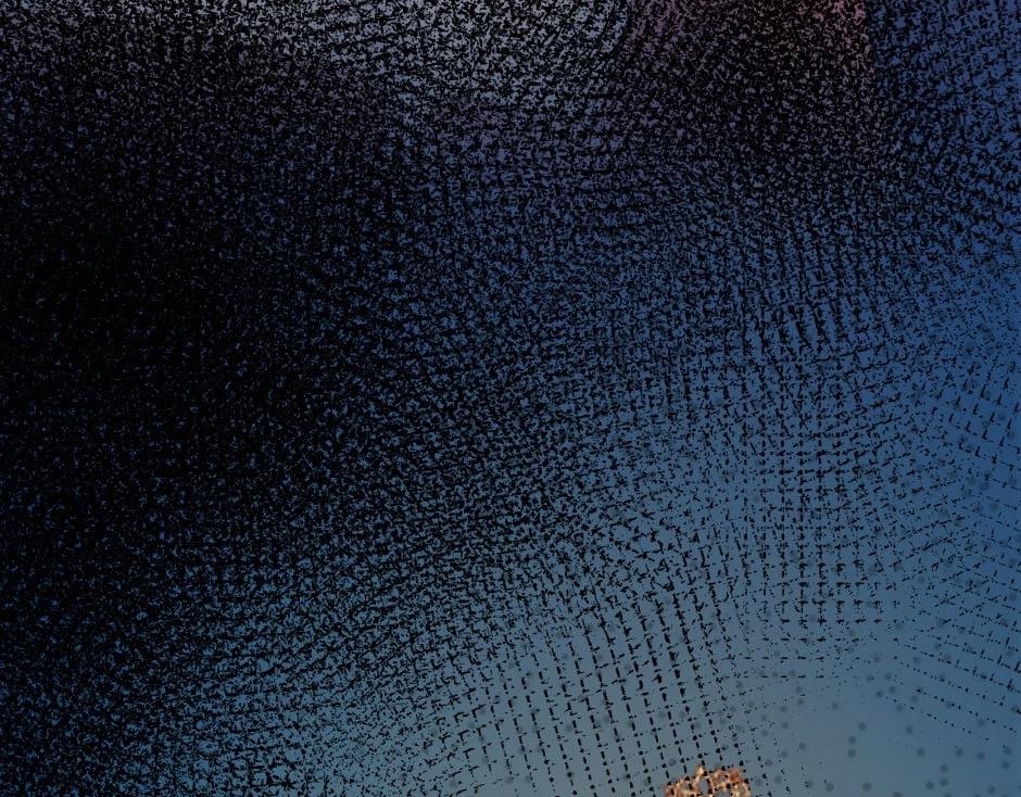 龍王子的女僕新娘 - 第149話 責備(4/4) - 6