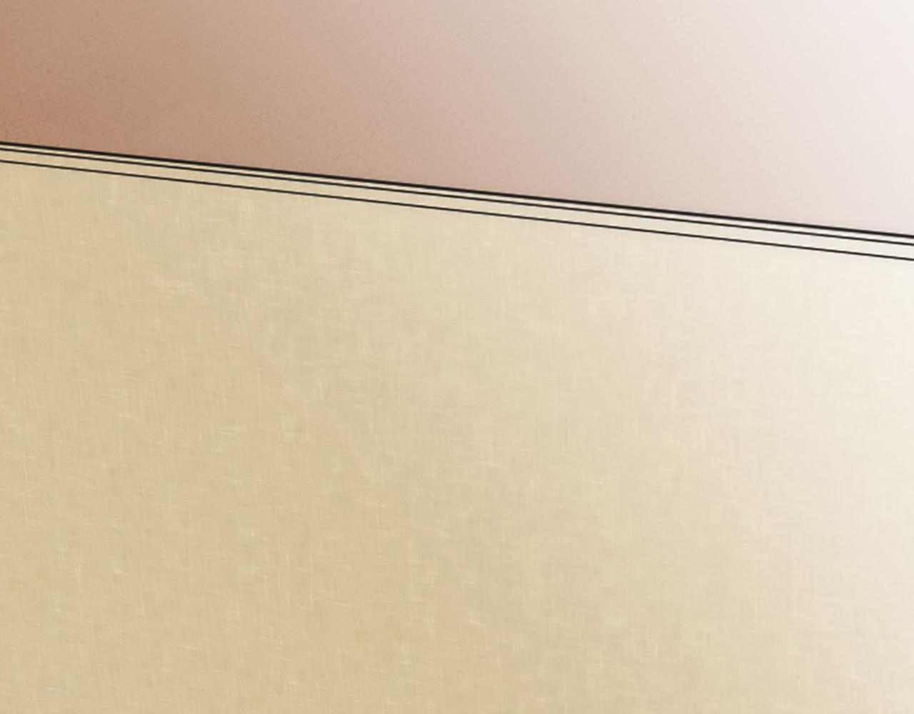 龍王子的女僕新娘 - 第55話 國王的私生子(2/3) - 3