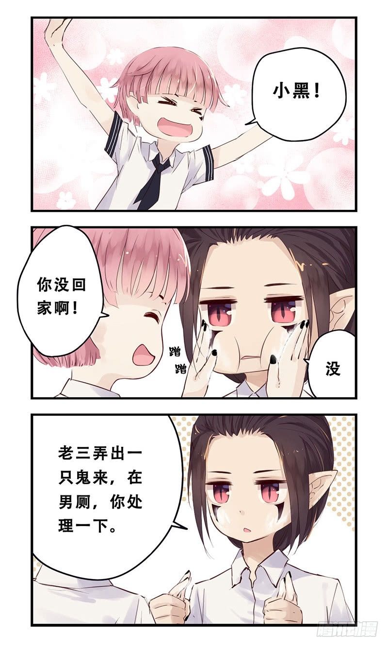 37：小熊橡皮（上）-第49话