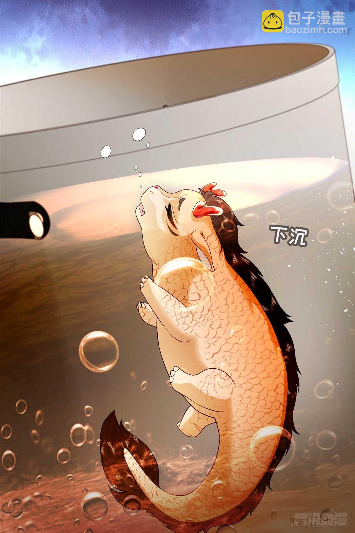 113 一胎四宝？！-第113话