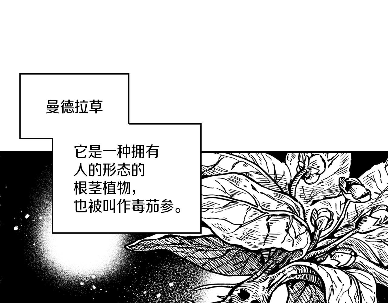 第38话 曼德拉草21