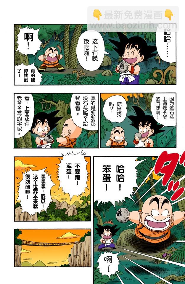 寻找龟字标记的石头-第29话