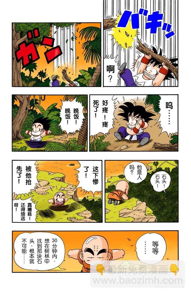 寻找龟字标记的石头-第29话