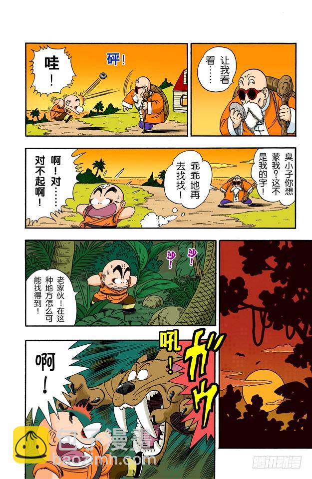 寻找龟字标记的石头-第29话