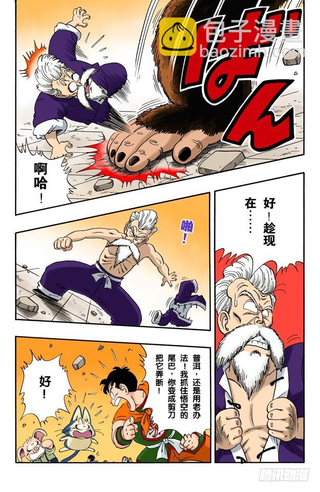 武道会上的骚乱！-第51话