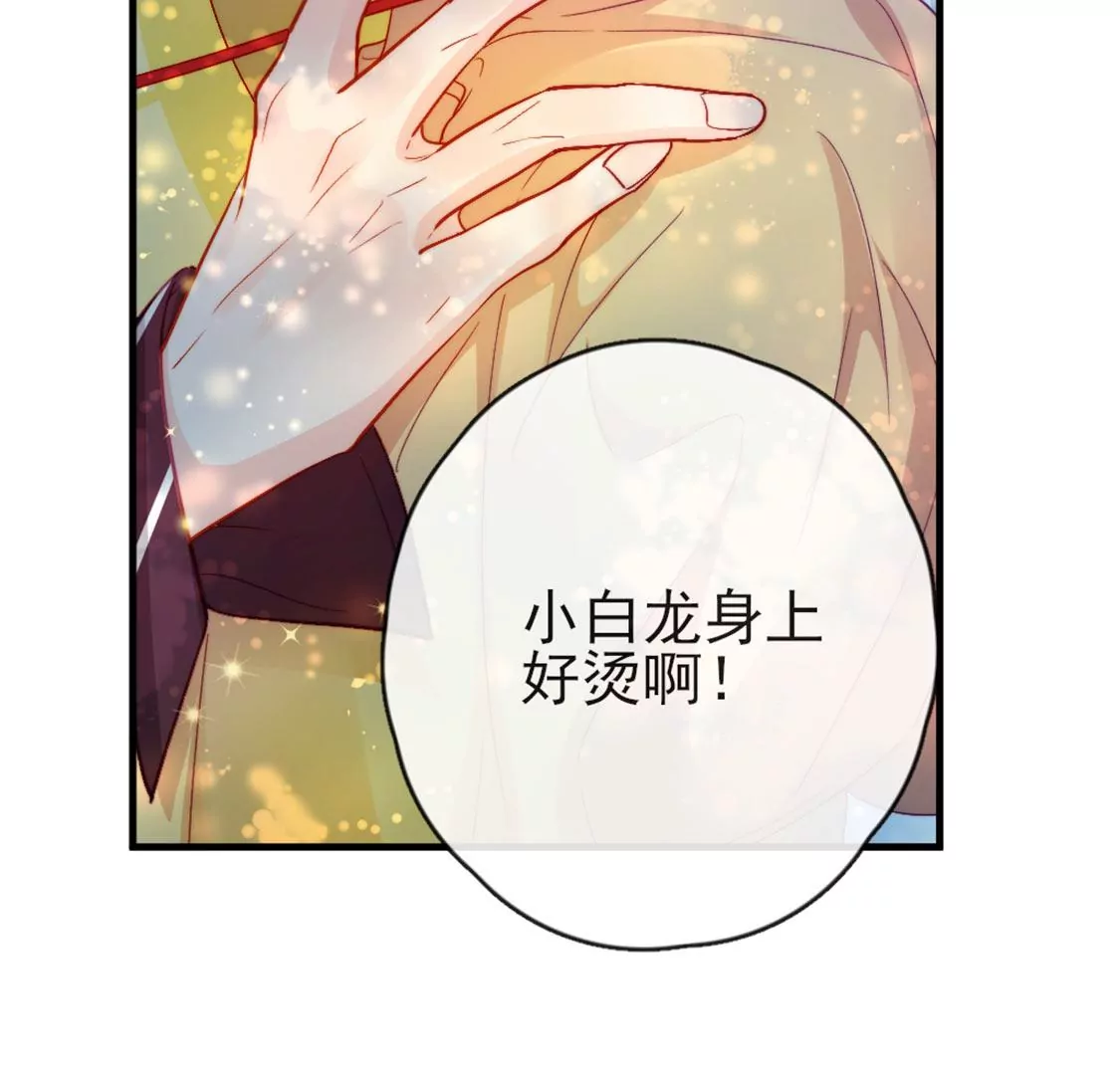 龍族新娘 - 第30話 帶小白去野餐(2/2) - 8