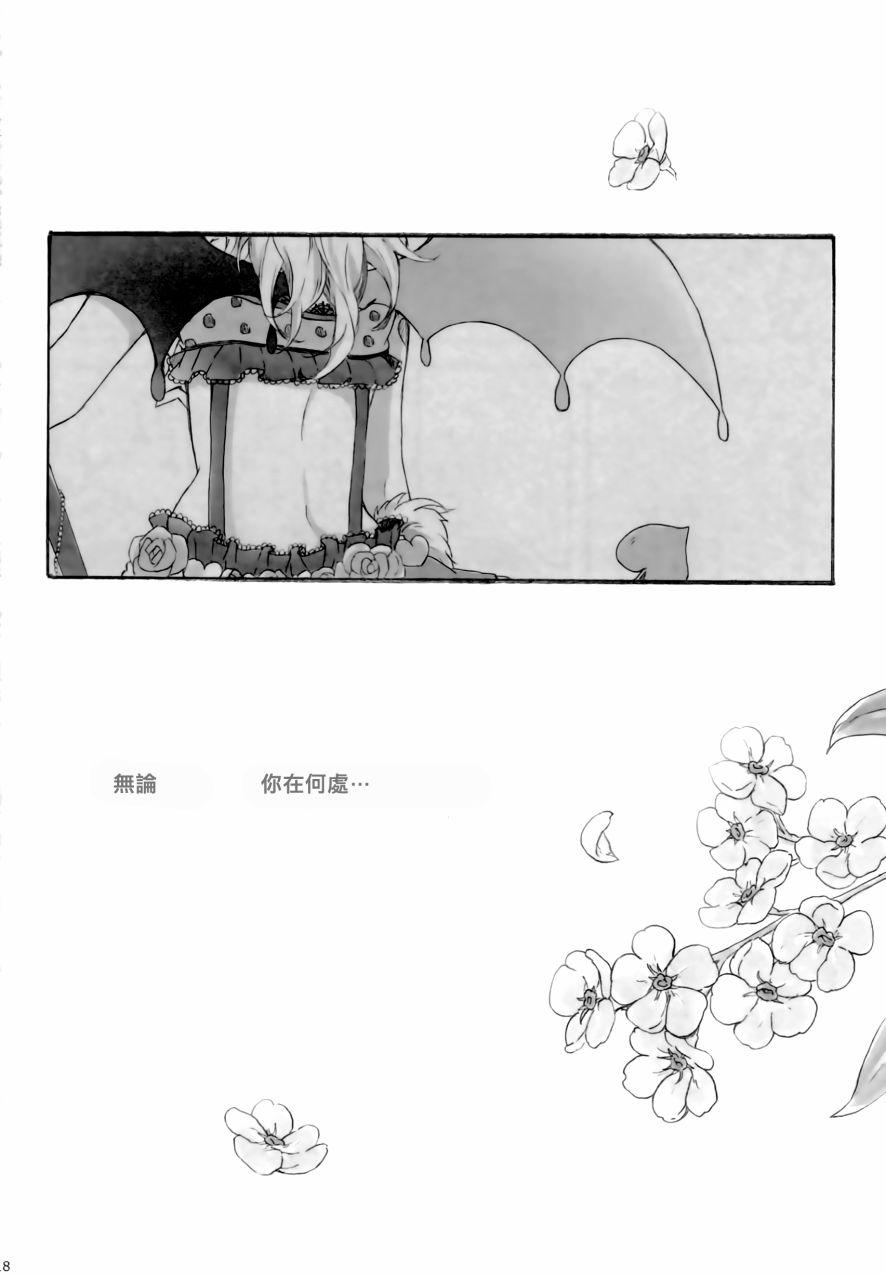 LoveLive - side： - 6