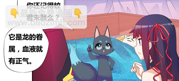 火阳王的龙珠(1/2)-第23话