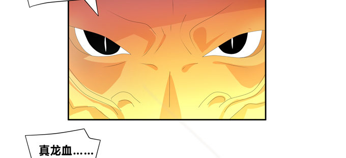 复活的神龙(1/2)-第57话