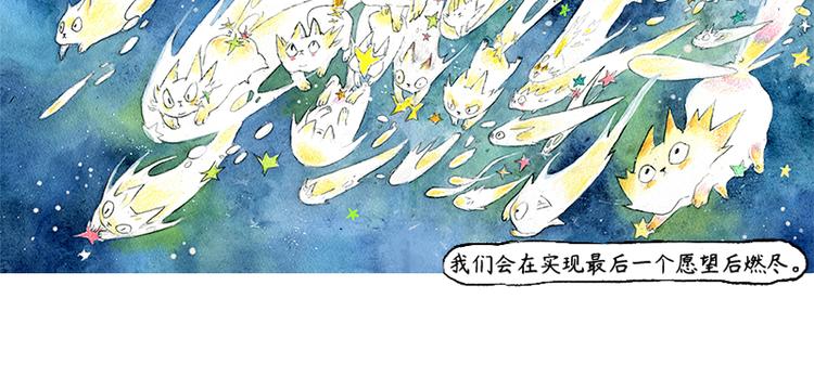 蘆花和胖頭鳥森林 - 【第三話】流星貓(1/2) - 2