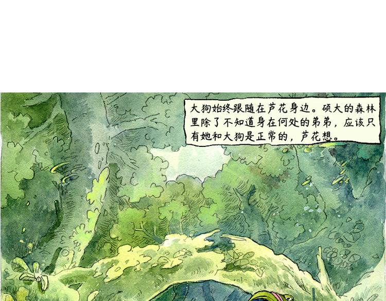 蘆花和胖頭鳥森林 - 【第三話】流星貓(1/2) - 6