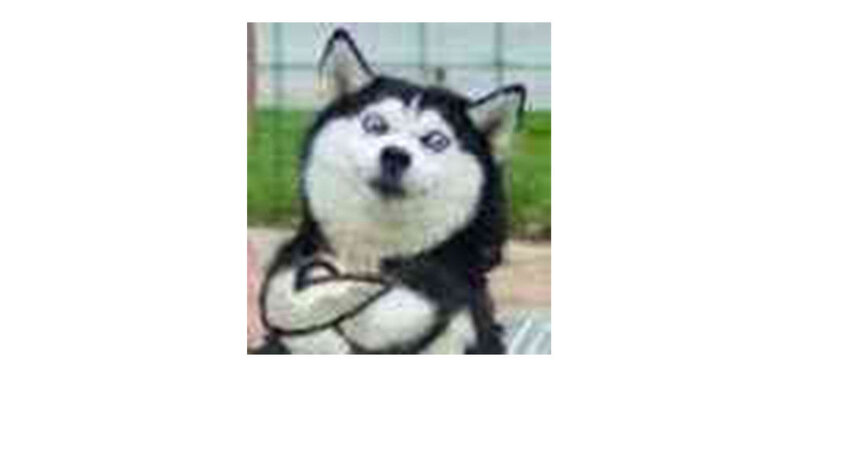 17 第17话  你在意他？-第17话