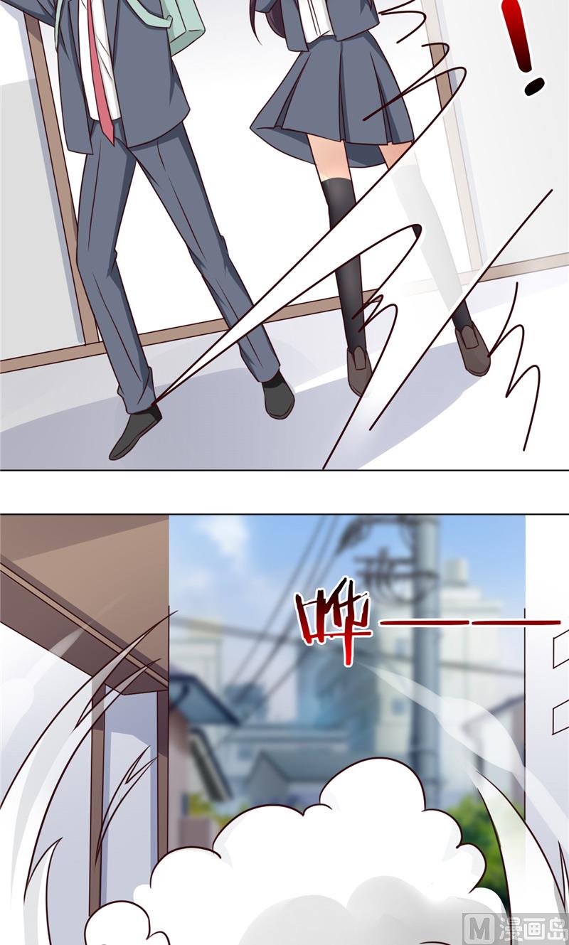 第29话 猫-第29话