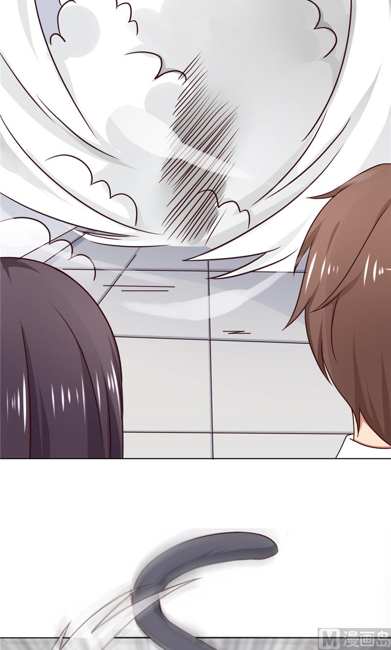 第29话 猫-第29话