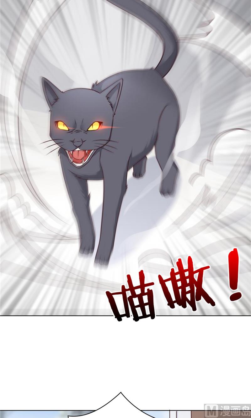 第29话 猫-第29话