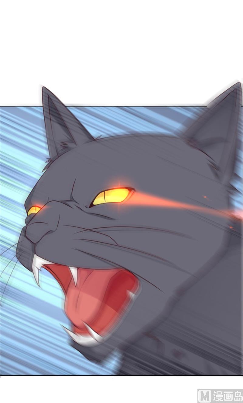 第29话 猫-第29话