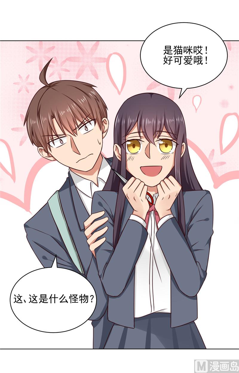 第29话 猫-第29话