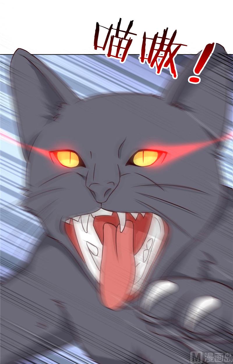 第29话 猫-第29话