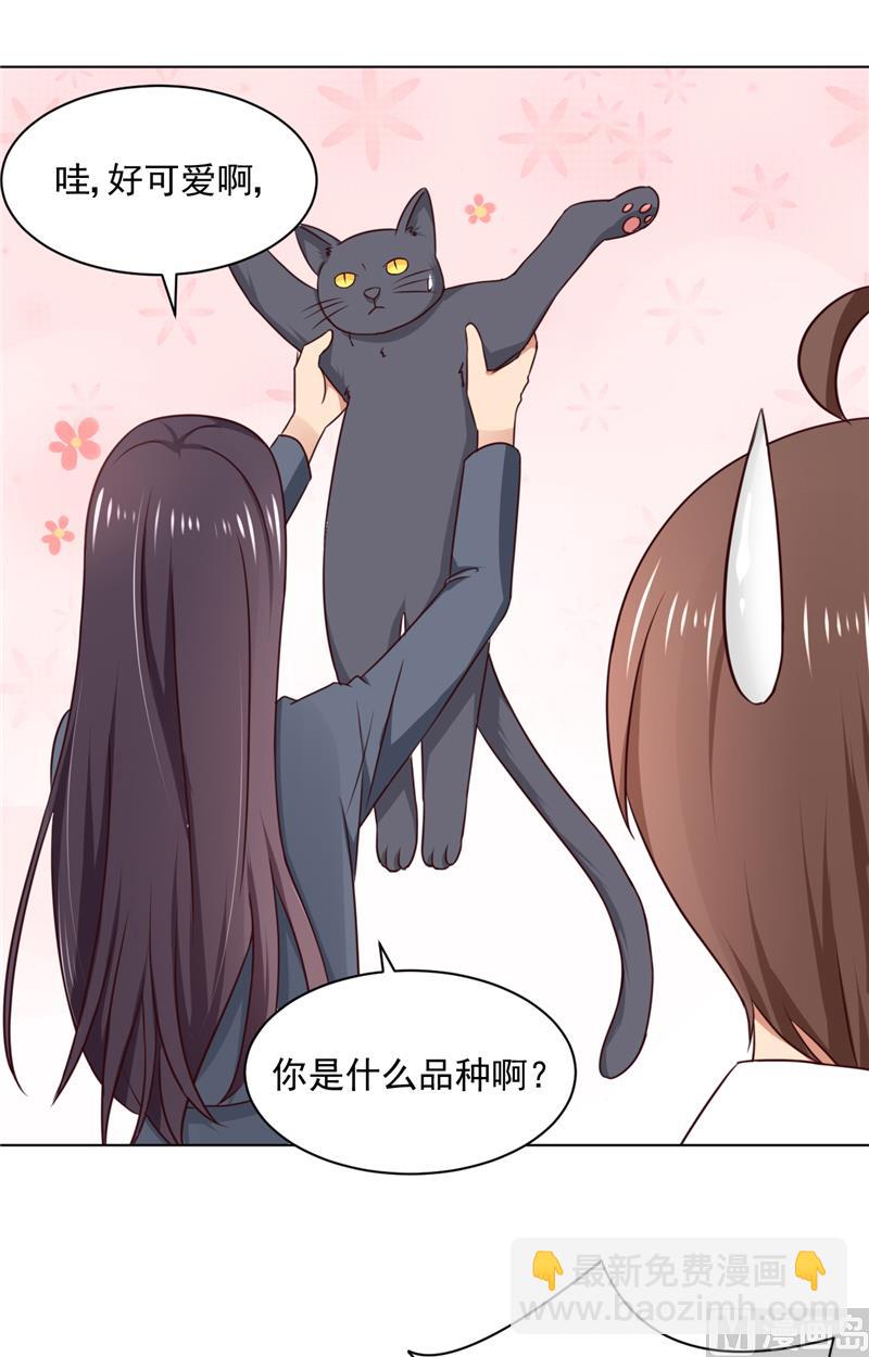 第29话 猫-第29话