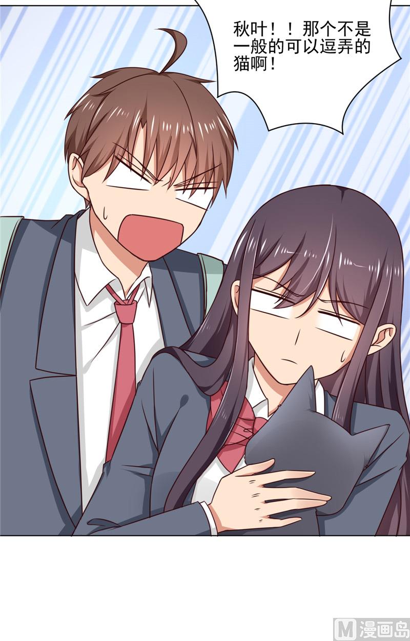 第29话 猫-第29话