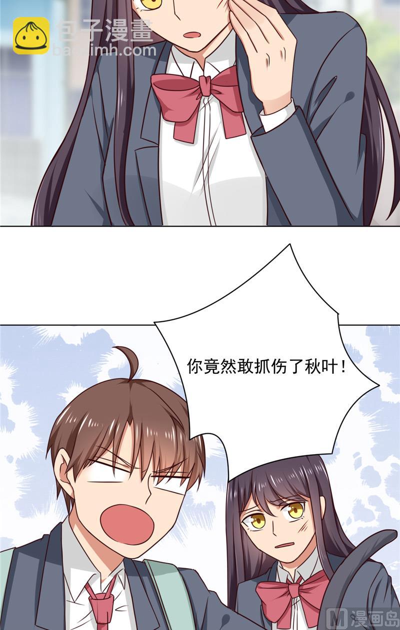 第29话 猫-第29话