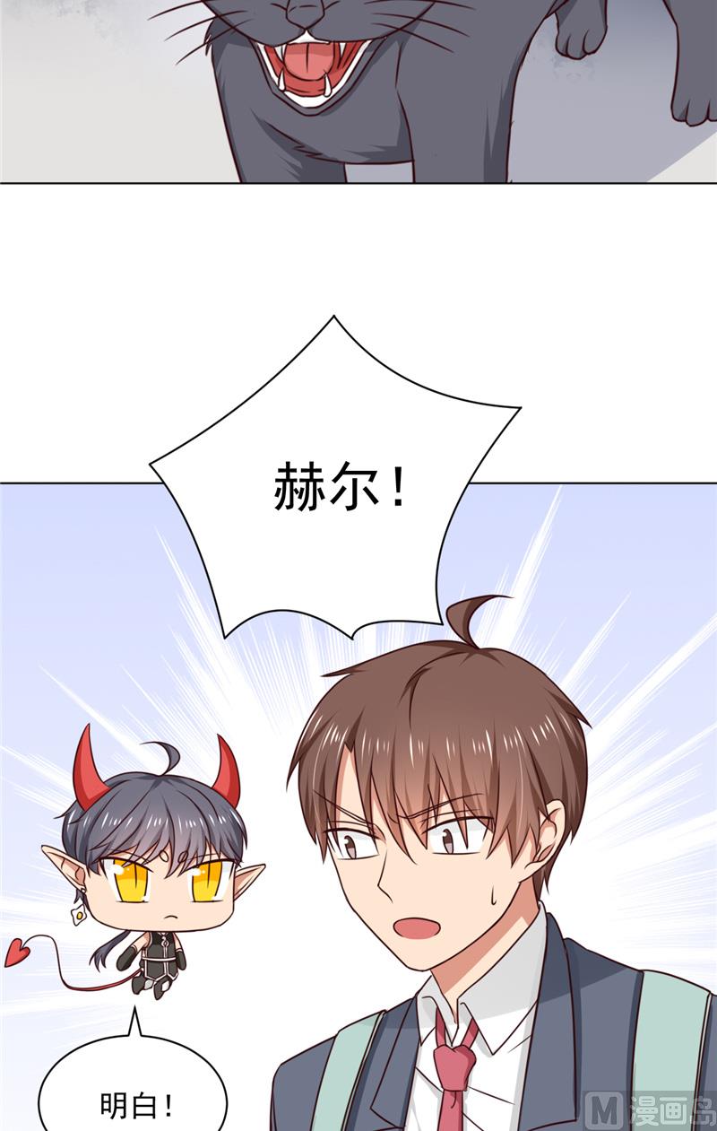 第29话 猫-第29话