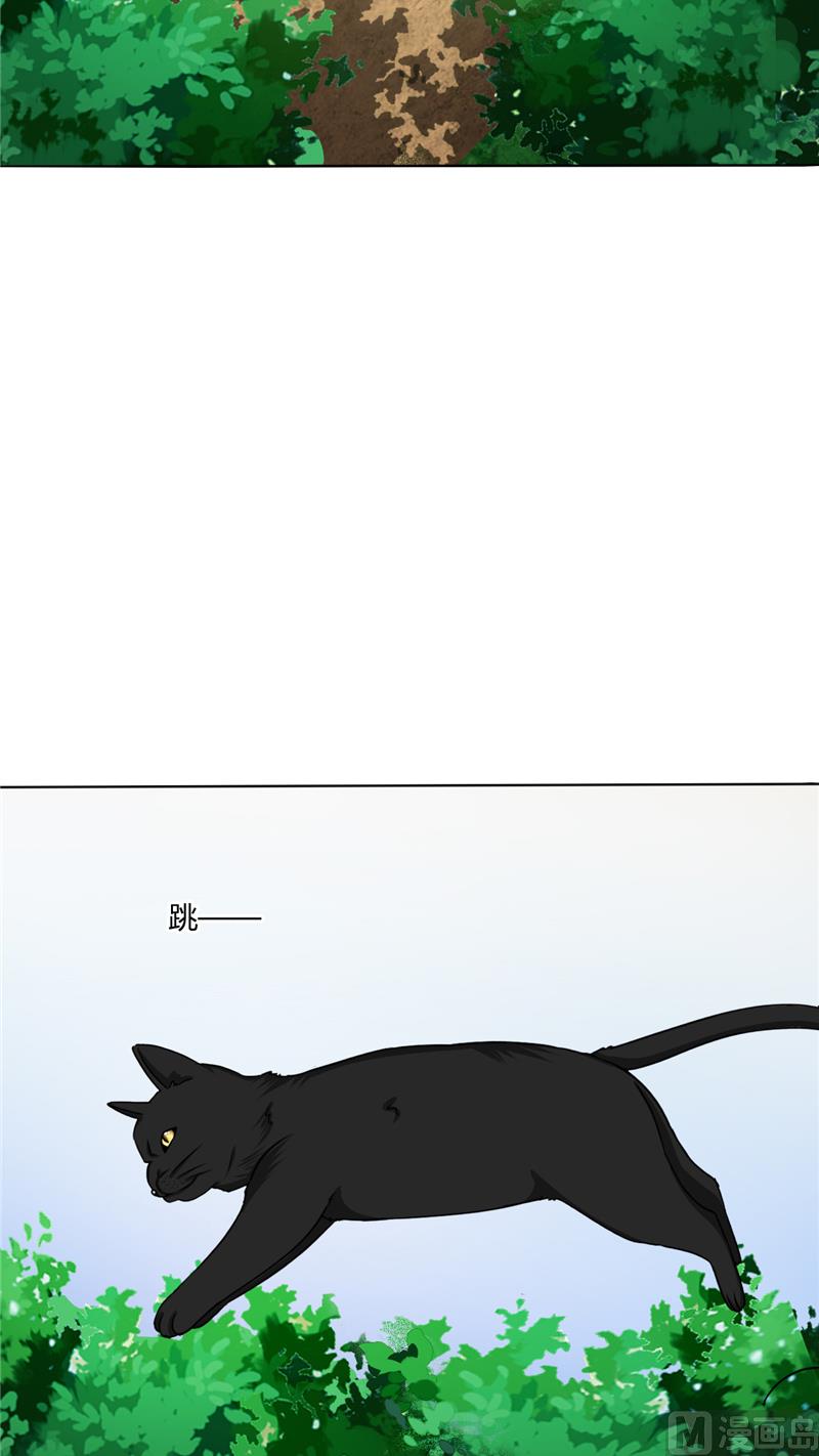 第37话 又见黑猫-第37话