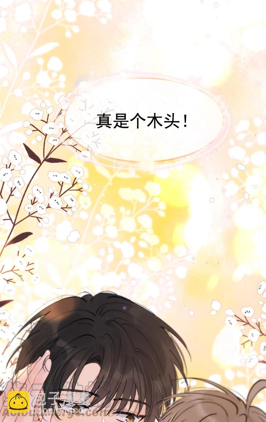 048 真是个木头！(1/2)-第51话