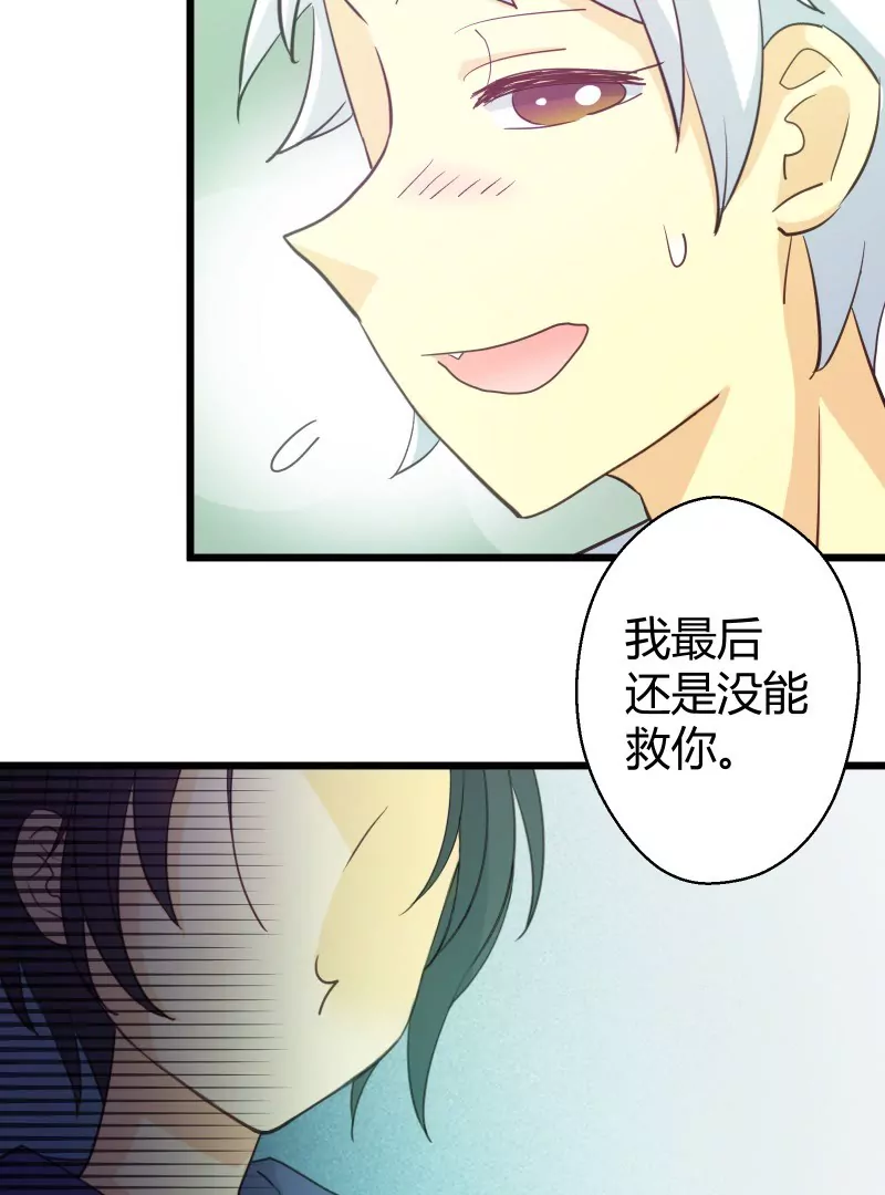 第45话 落叶的归还-第45话