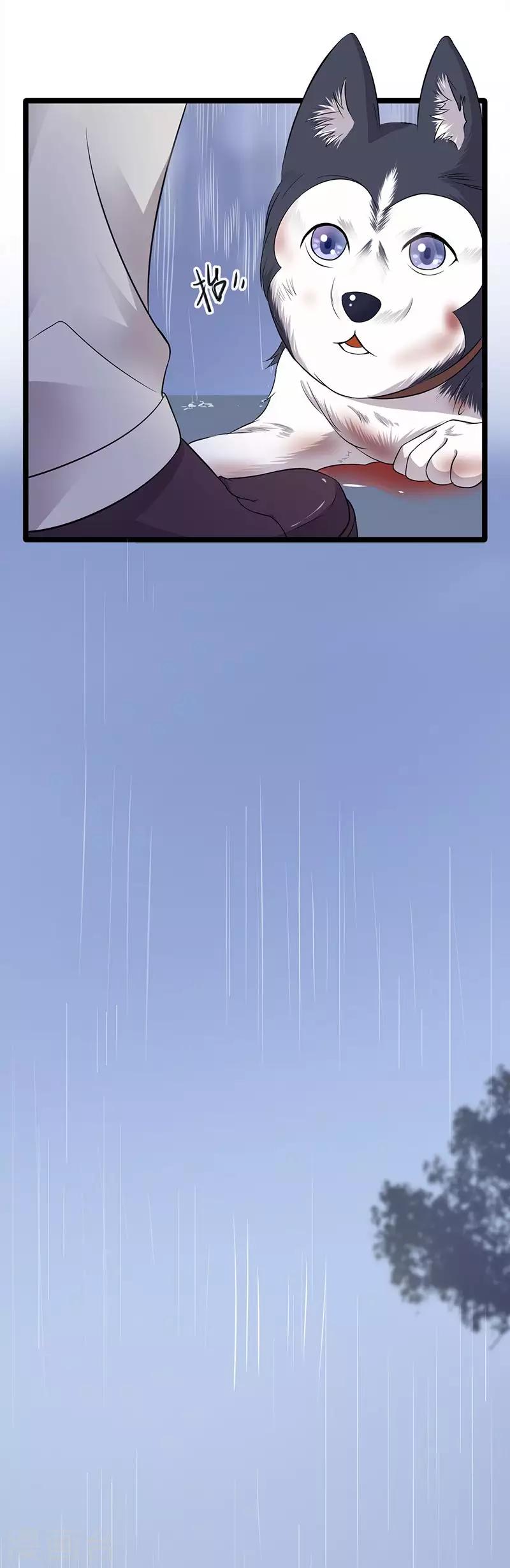 第14话 遇见你也是我的幸运-第15话