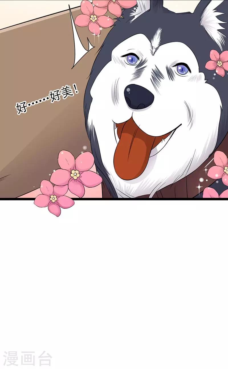 第14话 遇见你也是我的幸运-第15话