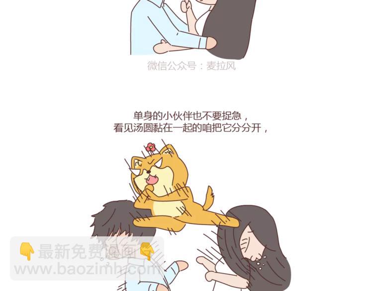 麥拉風-婚後80 - 第308話 有男友寵和沒男友寵的區別 - 3