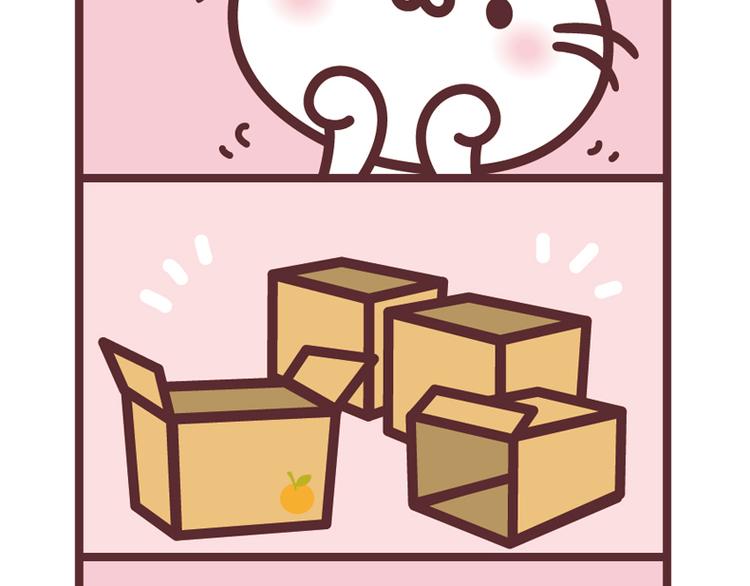 麻吉貓小日常 - 玩紙箱 - 1