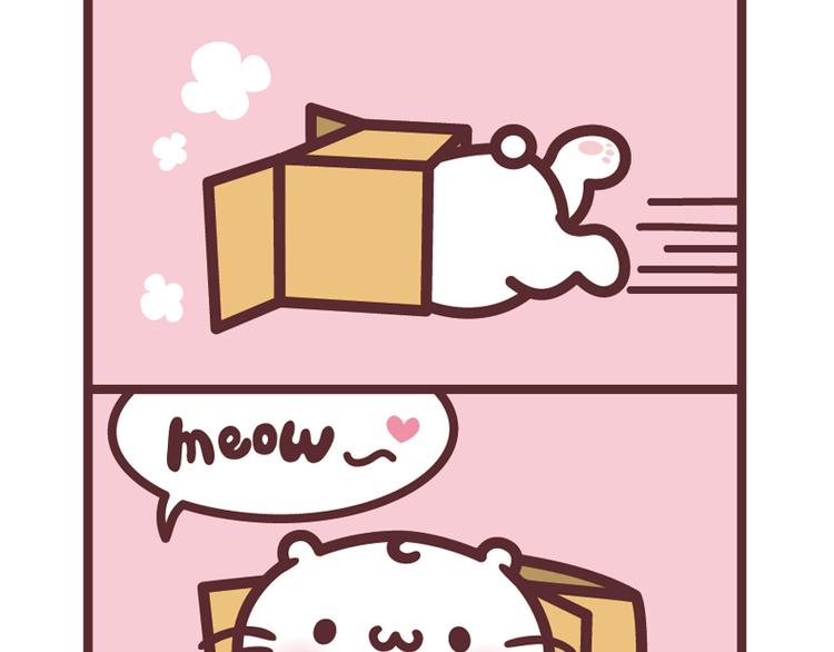 麻吉貓小日常 - 玩紙箱 - 1