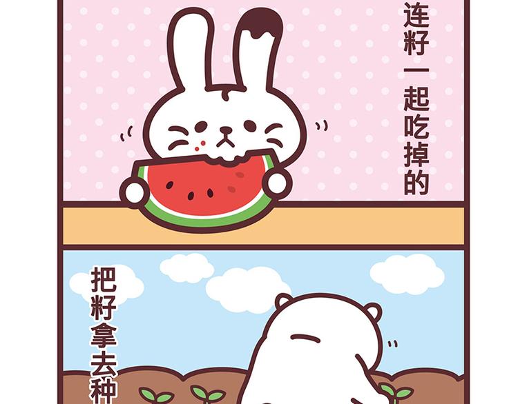 麻吉猫小日常 - 吃西瓜 - 1