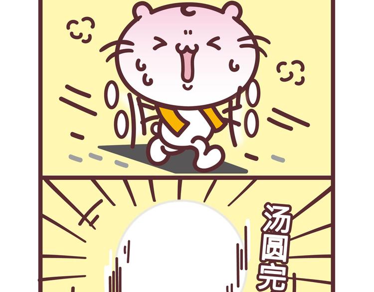 麻吉猫小日常 - 跑步机 - 1