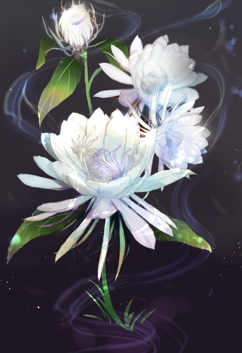 003 画不出龙要死了-第3话