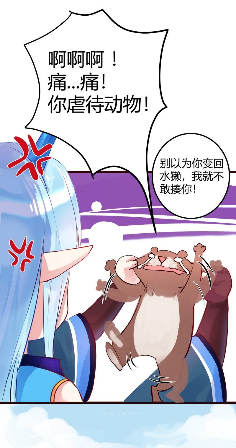 024 后宫新宠一水獭-第25话